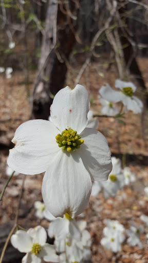 Wildlife Park «Charlie Elliott Wildlife Center», reviews and photos, 543 Elliott Trail, Mansfield, GA 30055, USA