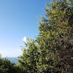 Photo n°10 de l'avis de juliana.e fait le 24/09/2019 à 07:33 sur le  Hotel Aurora à Amalfi