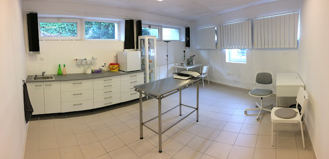 Focus Vet Állatorvosi Rendelő - Állatorvos