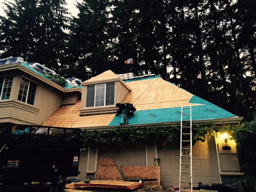 Eco Roof Service in Bothell, Washington