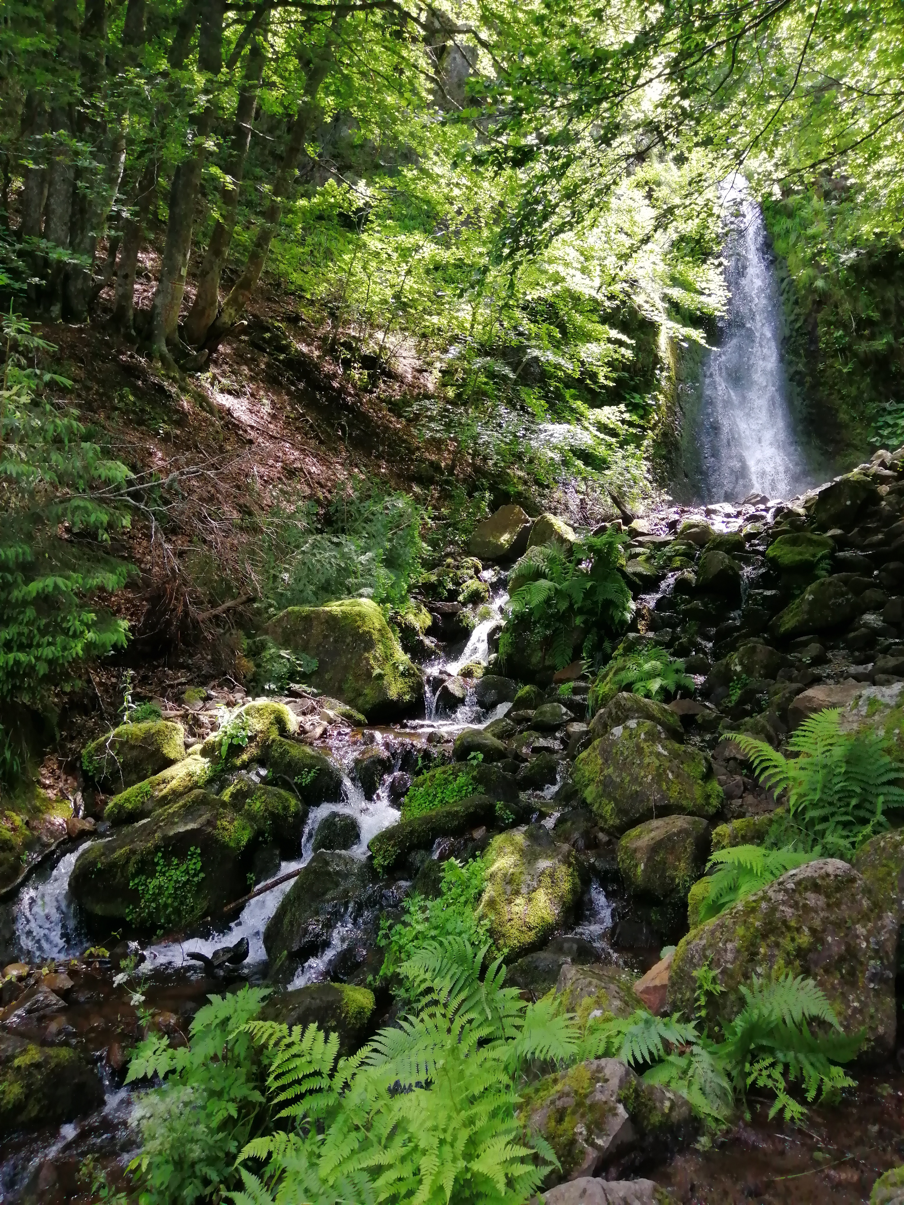 Photo n° 1 de l'avis de benoit.a fait le 12/07/2021 à 14:14