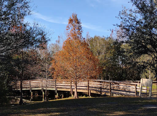 Park «Al Lopez Field», reviews and photos, 4810 N Himes Ave, Tampa, FL 33614, USA