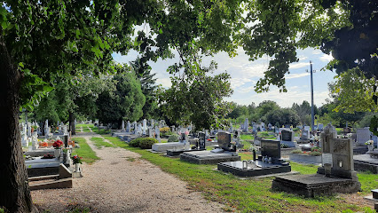 Szőnyi katolikus temetö