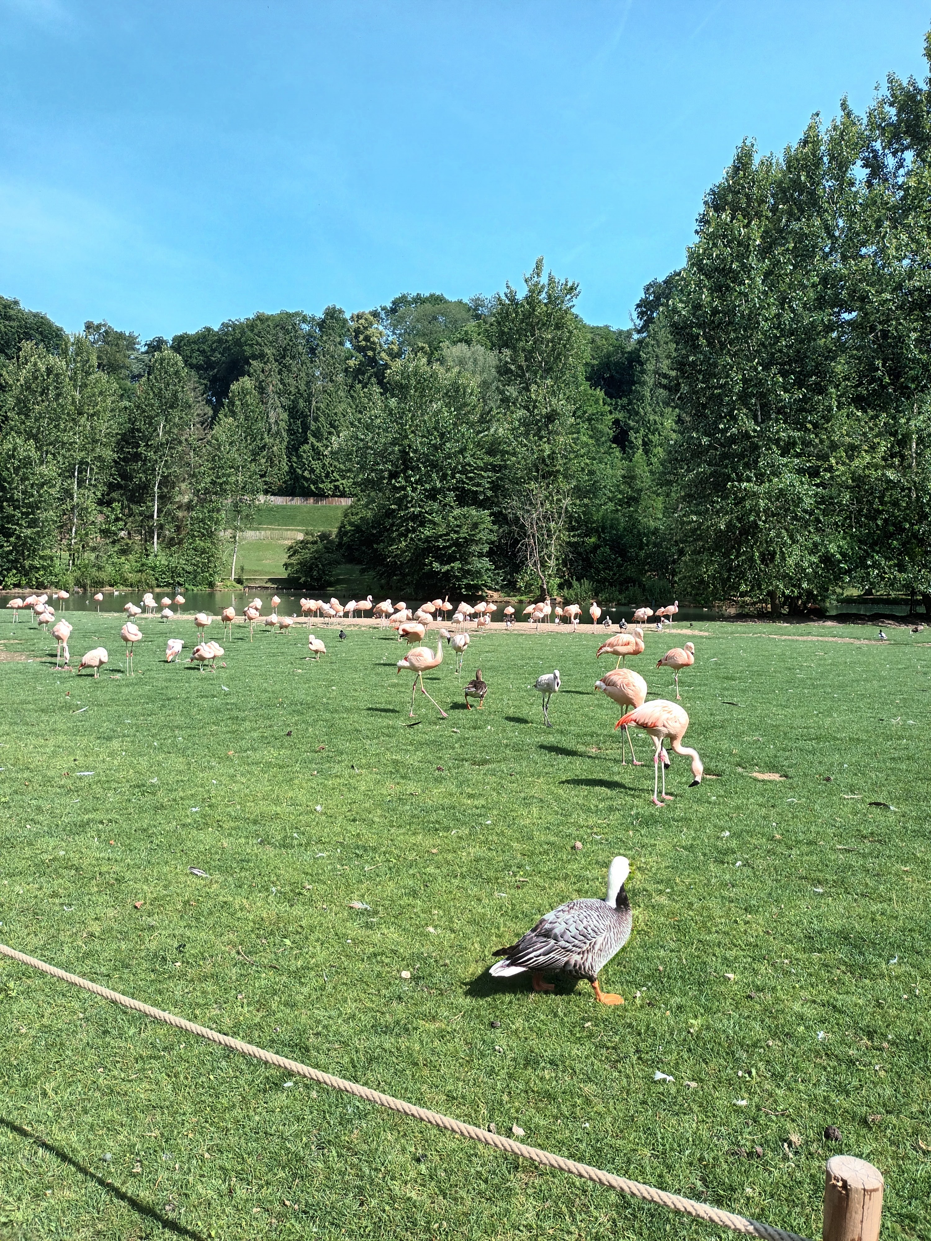 Photo n° 8 de l'avis de daniel.a fait le 28/06/2023 à 18:17