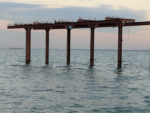 State Park «Lakeport State Park», reviews and photos, 7605 Lakeshore Rd, Lakeport, MI 48059, USA