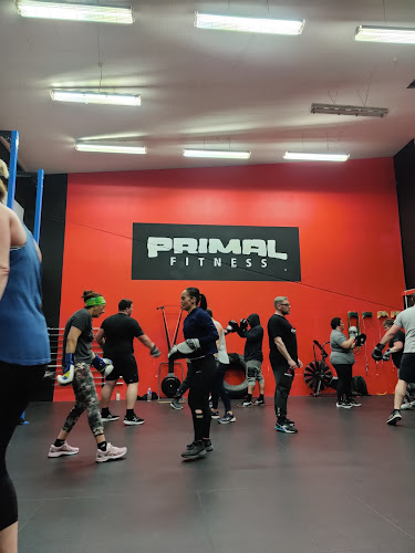 Reviews of Primal Fitness in Gisborne - Gym