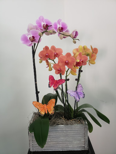 Florist «Rambling Rose Florist», reviews and photos, 22428 Gilmore St, West Hills, CA 91307, USA