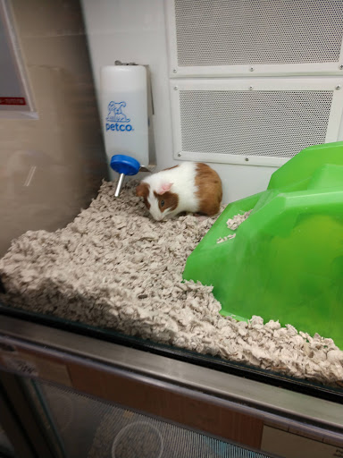 Pet Supply Store «Petco Animal Supplies», reviews and photos, 226 Thornton Drive, Dickson, TN 37055, USA