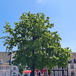 Photo n°6 de l'avis de Günter.a fait le 19/05/2023 à 15:46 sur le  Zur Alten Apotheke à Rheinberg