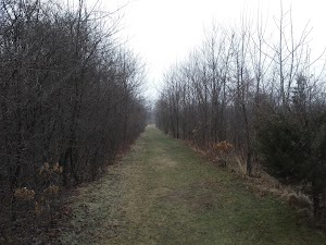 EagleBurnridge Park - photo 2