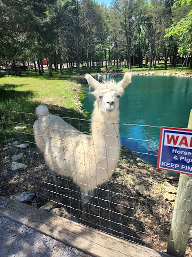 Tourist Attraction «Lucky Ladd Farms», reviews and photos, 4374 Rocky Glade Rd, Eagleville, TN 37060, USA