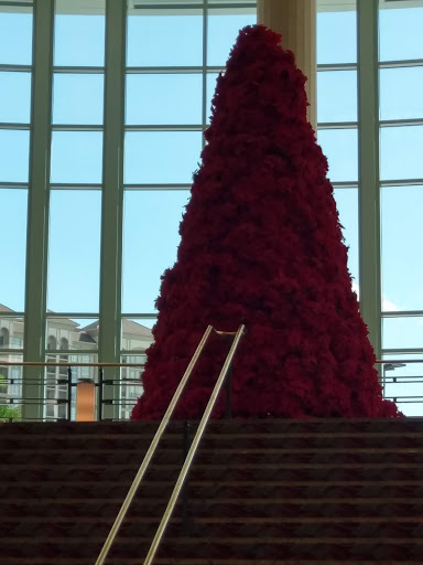 Performing Arts Theater «Kravis Center», reviews and photos, 701 Okeechobee Blvd, West Palm Beach, FL 33401, USA