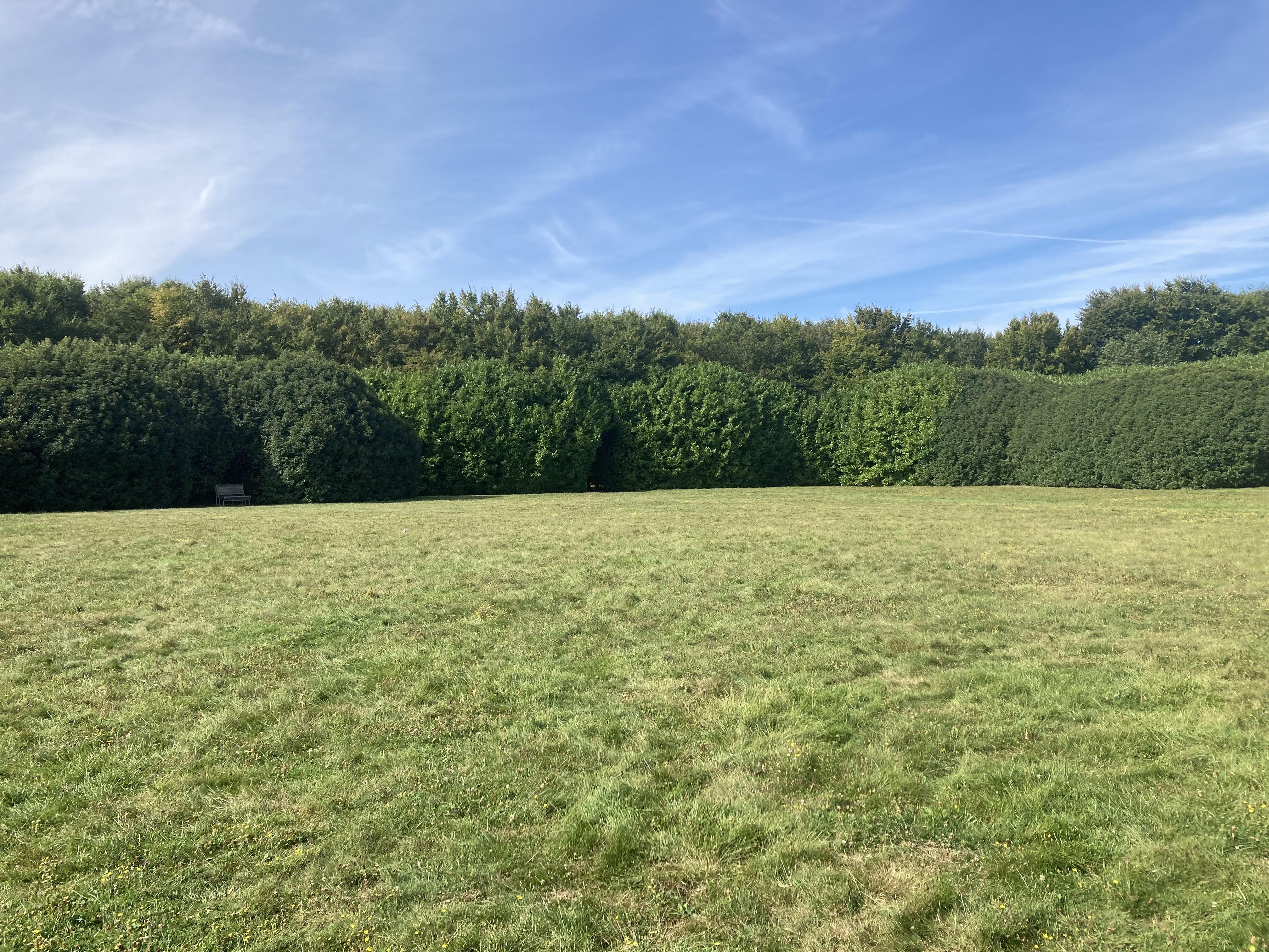 Photo n° 37 de l'avis de Cécile-Laure.H fait le 12/09/2021 à 16:29