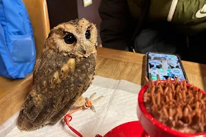 Yanaka Owl Cafe image