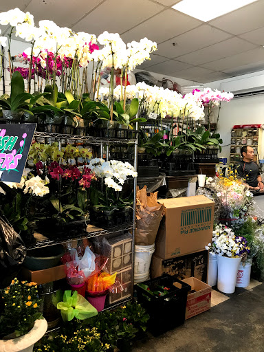 Florist «Absolutely Flowers & Balloons», reviews and photos, 10900 Westminster Ave # 4, Garden Grove, CA 92843, USA