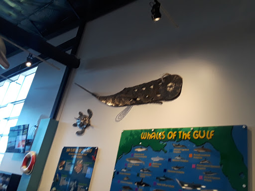 Educational Institution «Institute For Marine Mammal Studies», reviews and photos, 10801 Dolphin Ln, Gulfport, MS 39503, USA