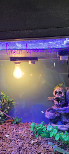 Pet Store «Southside Aquatics», reviews and photos, 2039 Pleasanton Rd, San Antonio, TX 78221, USA