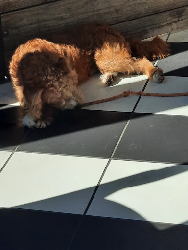 Bowling Alley «Bowl & Barrel», reviews and photos, 17619 La Cantera Pkwy Ste 102, San Antonio, TX 78257, USA