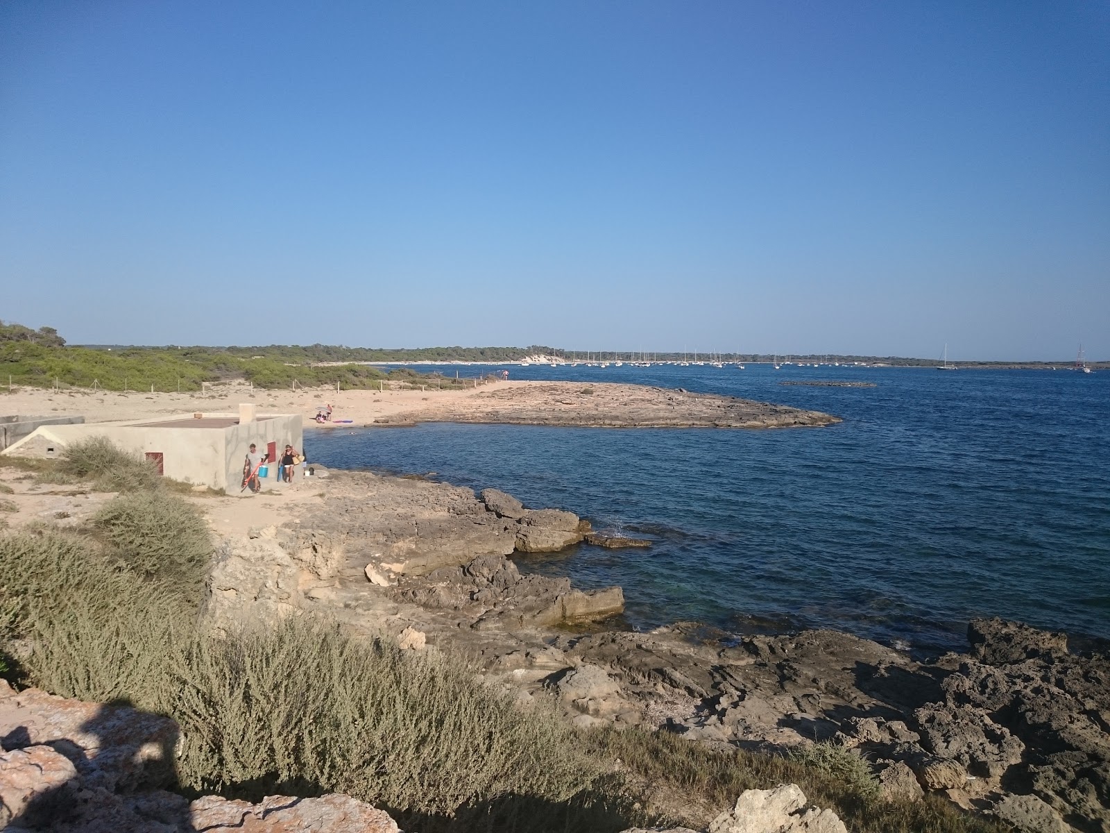 Platja de Can Curt photo #9