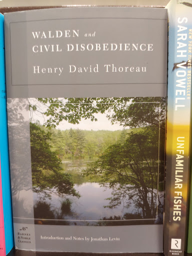 Book Store «Barnes & Noble», reviews and photos, 5100 Kilgore Ave, Hampton, VA 23666, USA