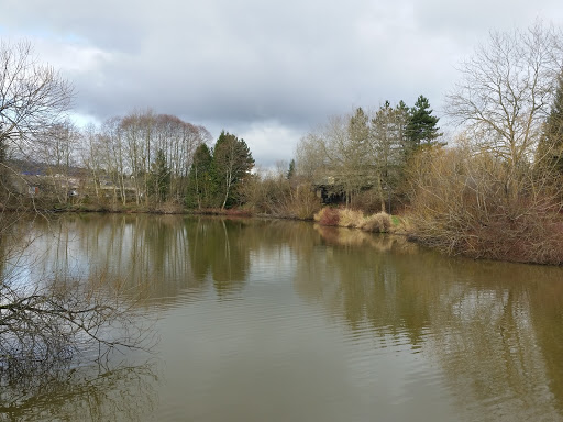 Book Store «Barnes & Noble», reviews and photos, 1530 11th Ave NW, Issaquah, WA 98027, USA