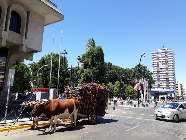 Arturo Prat 565, Temuco, Araucanía, Chile