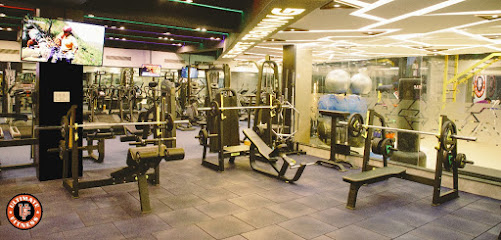 Human Fitness - Best Gym In Chandigarh , Gyms in C - S.C.O, 34-37, Madhya Marg, 9-D, Chandigarh, 160009, India