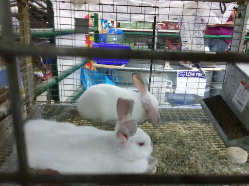 Department Store «Rural King», reviews and photos, 127 S Memorial Dr, New Castle, IN 47362, USA