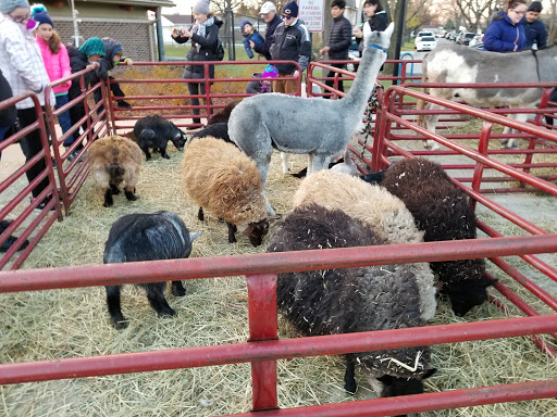 Water Park «Niles Prk District Oasis Waterpark», reviews and photos, 7877 N Milwaukee Ave, Niles, IL 60714, USA