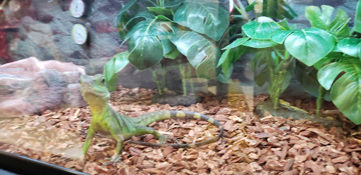 Pet Supply Store «Petco Animal Supplies», reviews and photos, 8800 Tampa Ave, Northridge, CA 91324, USA