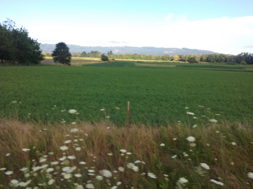 Vetsch Dairy Farm