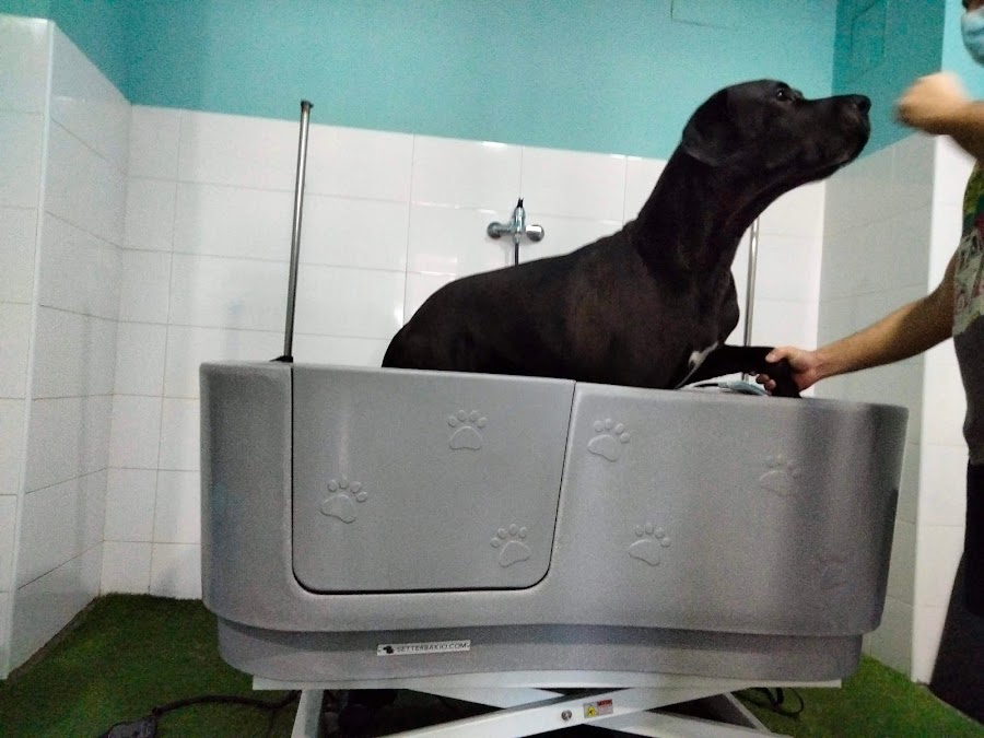 Tu lado animal (Autolavado de mascotas y tienda)