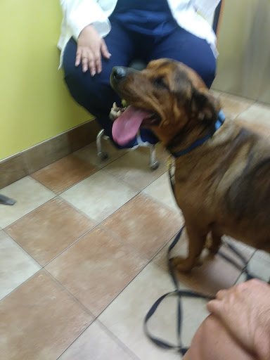 Pet Supply Store «PetSmart», reviews and photos, 533 S Tracy St, Wichita, KS 67209, USA