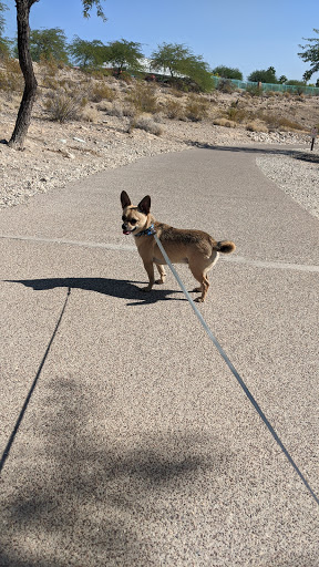 Park «Pueblo Park», reviews and photos, Peublo Vista Dr, Las Vegas, NV 89128, USA