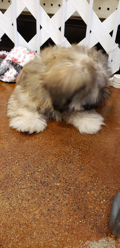 Pet Store «Fairwood Pet Center», reviews and photos, 14201 SE Petrovitsky Rd, Renton, WA 98058, USA