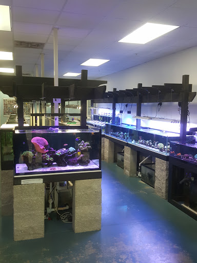 Tropical Fish Store «ReefSmart Aquariums», reviews and photos, 11735 SW 147th Ave, Miami, FL 33196, USA