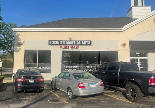 Martial Arts School «Rumi Maki Boxing & Martial Arts», reviews and photos, 2200 Rand Rd Ste A, Palatine, IL 60074, USA