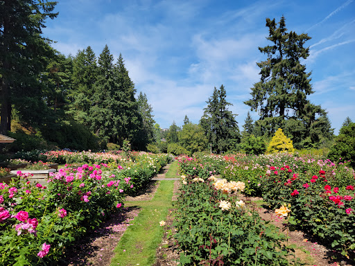 International Rose Test Garden