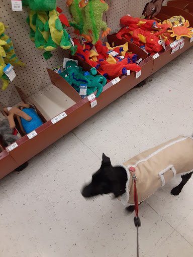 Pet Supply Store «PetSmart», reviews and photos, 5 Mystic View Rd, Everett, MA 02149, USA