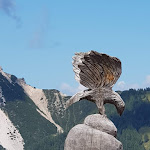 Photo n°5 de l'avis de Paolo.u fait le 27/08/2019 à 17:38 sur le  Rifugio Rudi à Sexten