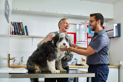 Best Friends Vet Group, Northampton