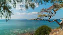 Paralia Giala'in fotoğrafı geniş ile birlikte