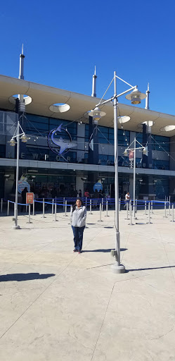 Tropical Fish Store «Cincinnati Aquarium Design», reviews and photos, 6475 E Galbraith Rd # B, Cincinnati, OH 45236, USA