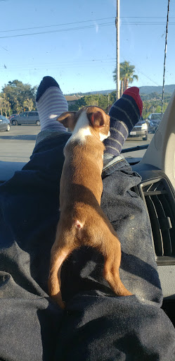 Shopping Mall «Laurelwood Shopping Center», reviews and photos, 1206 W Hillsdale Blvd, San Mateo, CA 94403, USA