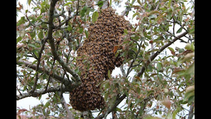 HoneyComb Cottage Bee Company - Belfountain