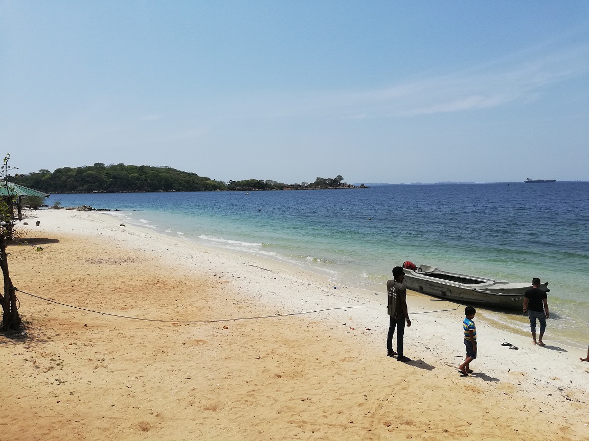 Foto av Elephant point beach beläget i naturområde