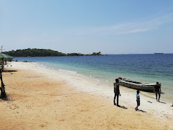 Foto av Elephant point beach beläget i naturområde