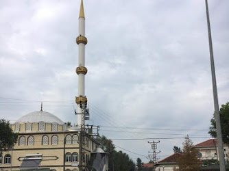 Yukarı söğütlü kahveleri