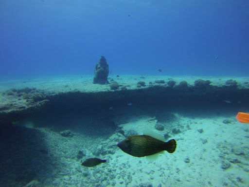 Reef Pirates Diving