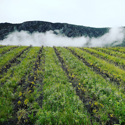 La Petite Baigneuse à Saint-Paul-de-Fenouillet